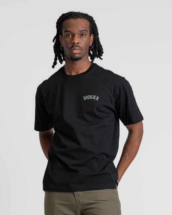 Dickies SNAKE SS TEE | DK0A4Z99BLK1 | AFEW STORE